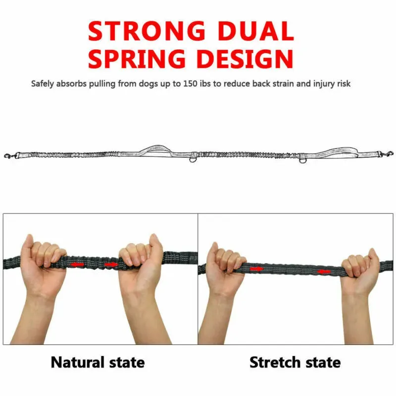 Reflective Leash Dog Running Belt